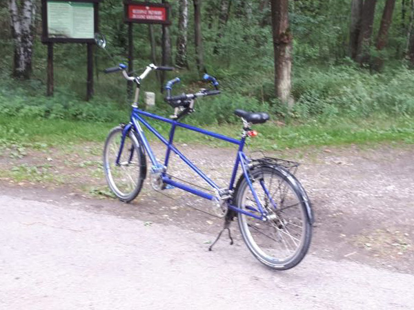 Niebieski rower tandem, drzewo, na zewnątrz i przyroda